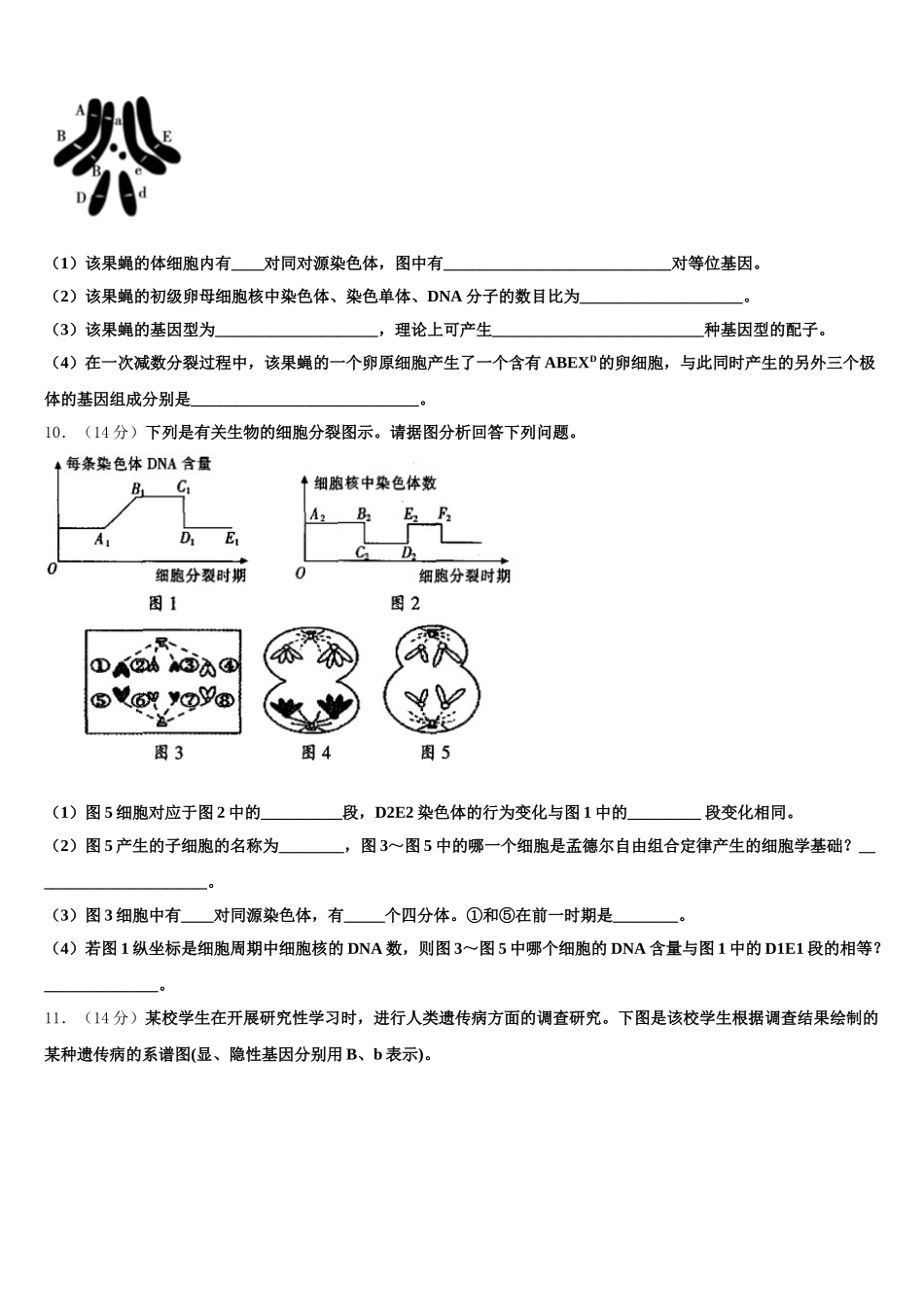 陕西省榆林市第一中学2025届高一生物第二学期期末质量检测模拟试题含解析_第3页