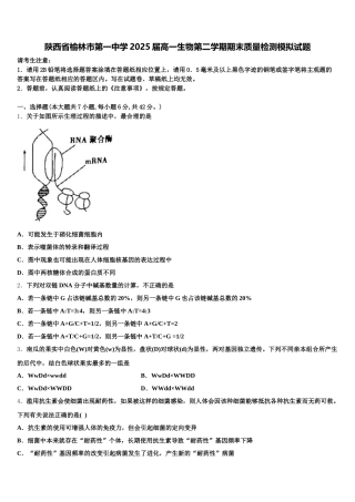 陕西省榆林市第一中学2025届高一生物第二学期期末质量检测模拟试题含解析