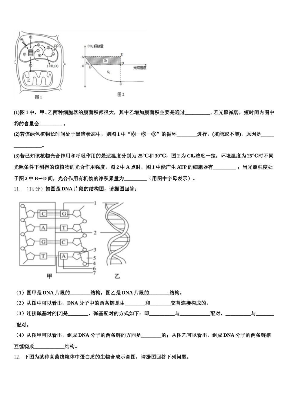 2025届陕西省延安市实验中学生物高一下期末综合测试模拟试题含解析_第3页