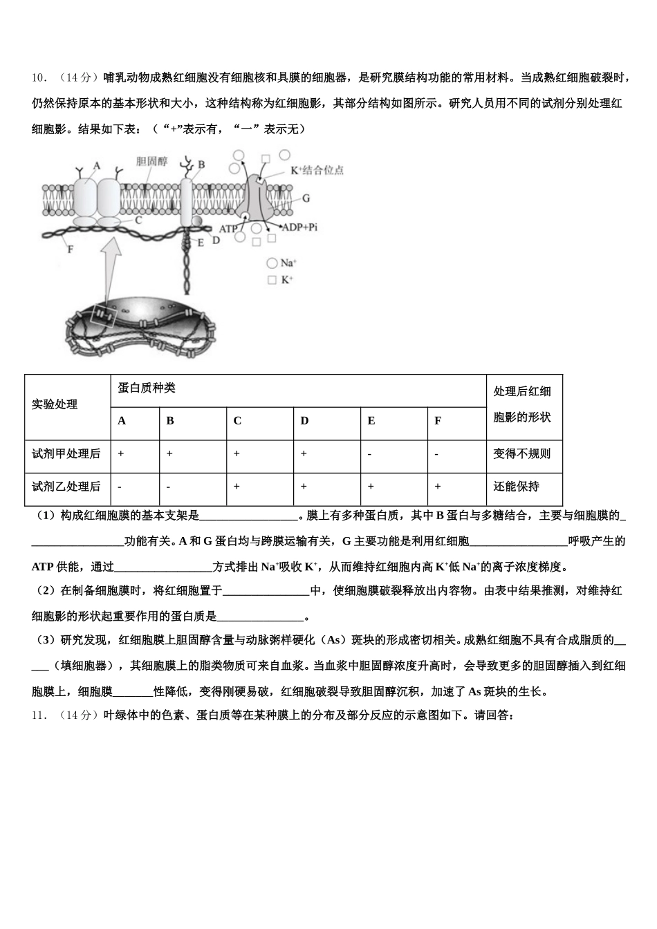 2025年陕西省西安市618中学高一生物第二学期期末联考试题含解析_第3页