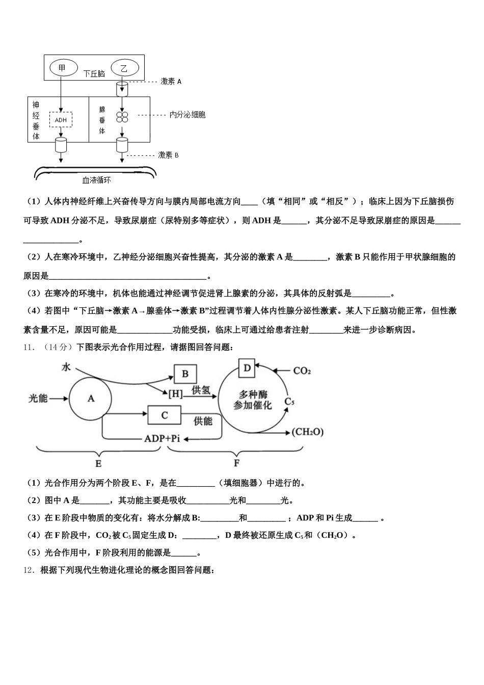 陕西省洛南县2025届高一生物第二学期期末联考试题含解析_第3页