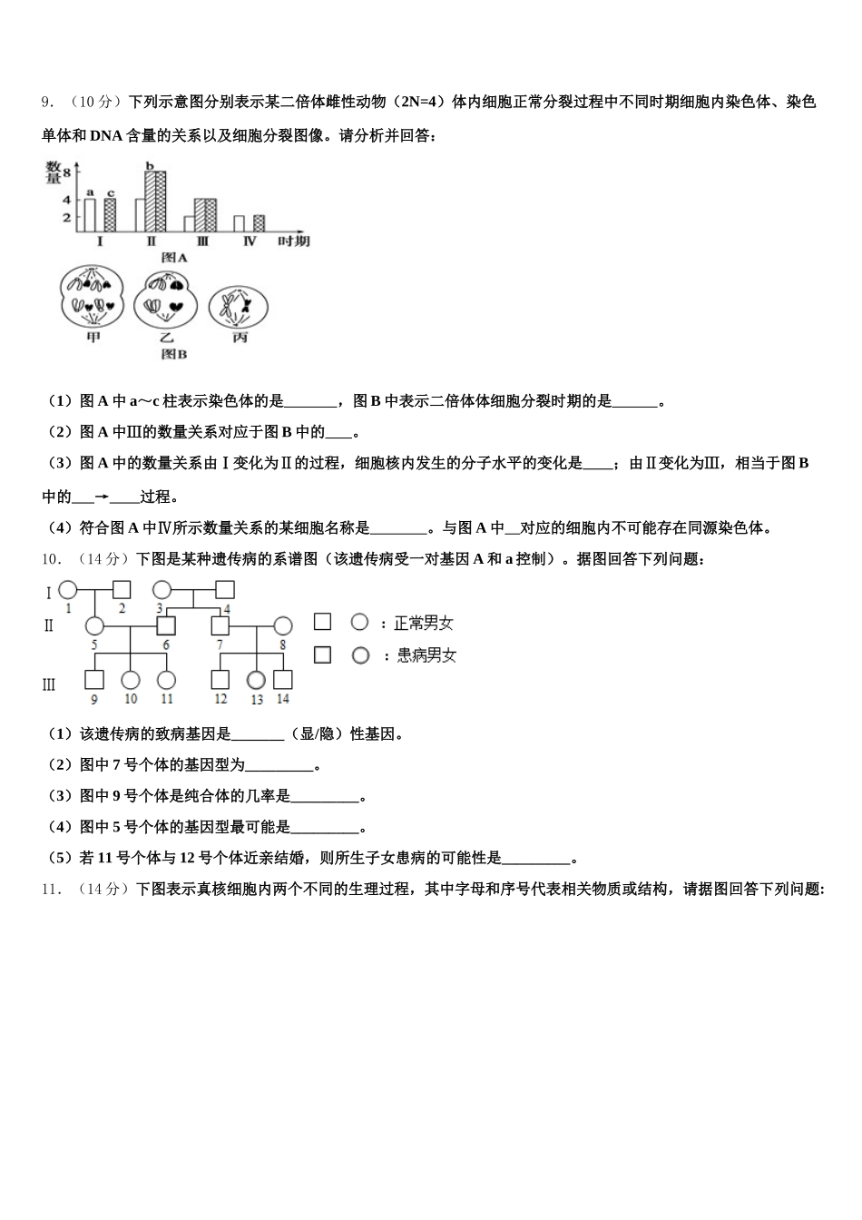 2025年陕西省子洲中学生物高一第二学期期末统考模拟试题含解析_第2页