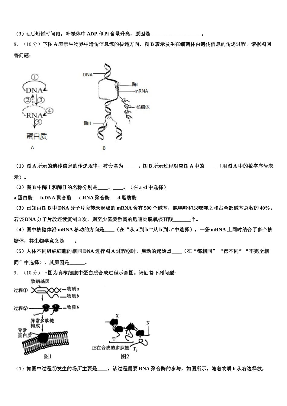 浙江省金华市曙光学校2025届生物高一下期末学业质量监测模拟试题含解析_第3页