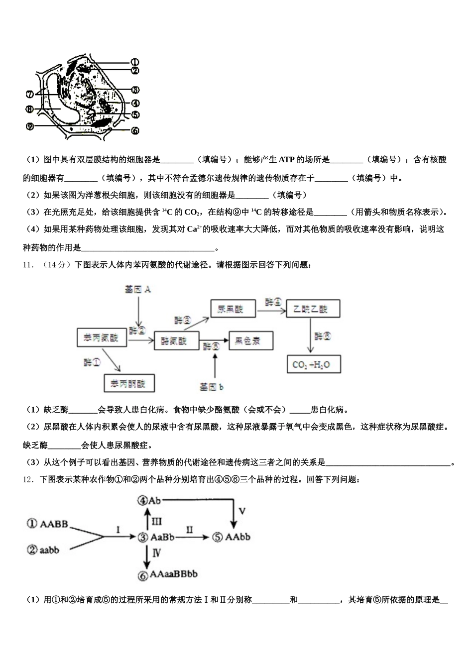 宁波市重点中学2024-2025学年高一生物第二学期期末质量检测模拟试题含解析_第3页