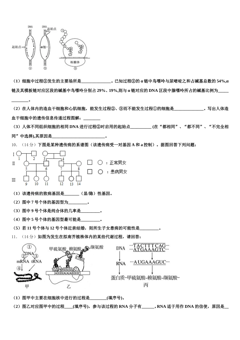 2025届浙江省温州东瓯中学 高一下生物期末统考试题含解析_第3页