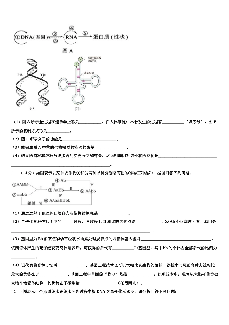 浙江省杭州师范大学附属中学2024-2025学年生物高一下期末经典试题含解析_第3页