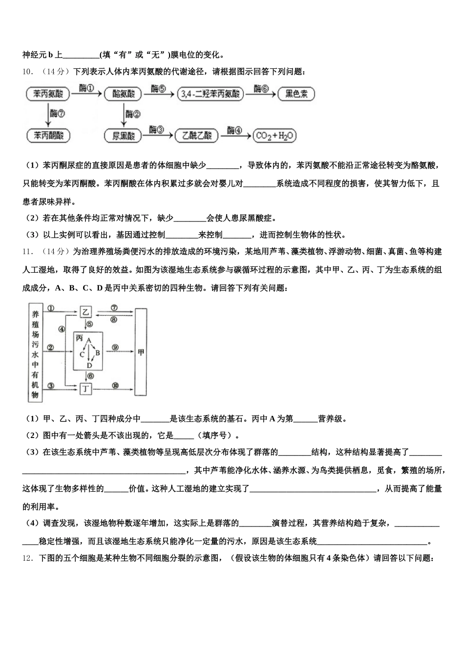 浙江宁波市2024-2025学年高一生物第二学期期末教学质量检测模拟试题含解析_第3页