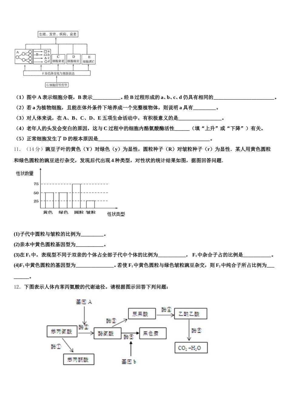 浙江省桐庐分水高级中学2025届高一生物第二学期期末达标检测模拟试题含解析_第3页