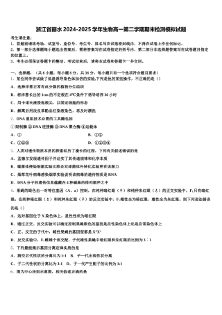 浙江省丽水2024-2025学年生物高一第二学期期末检测模拟试题含解析
