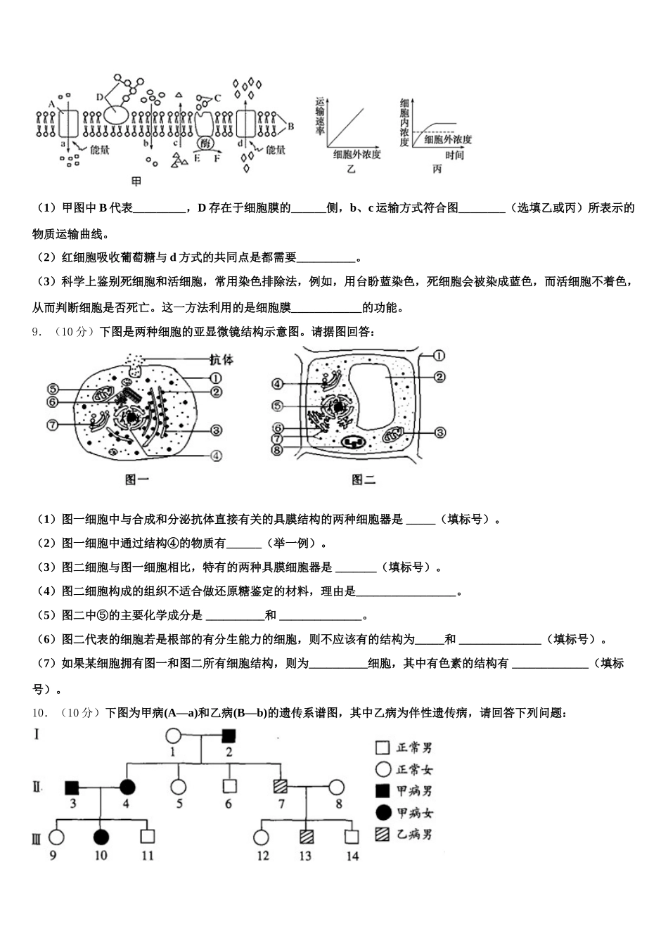 浙江省杭州市杭州第二中学2025届生物高一下期末检测试题含解析_第3页