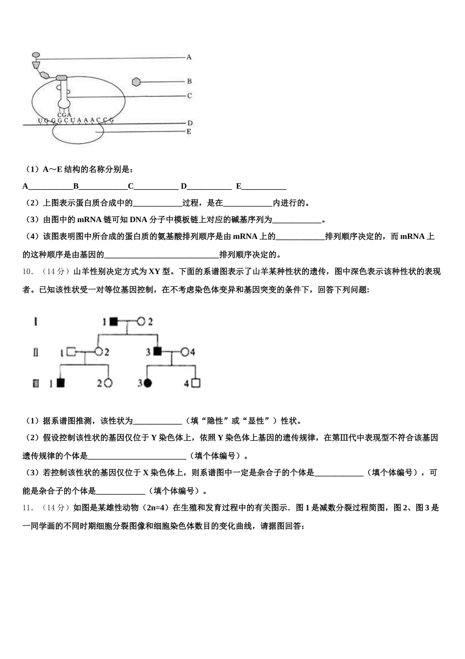 2025届浙江省金华市金华第一中学高一生物第二学期期末调研模拟试题含解析_第3页
