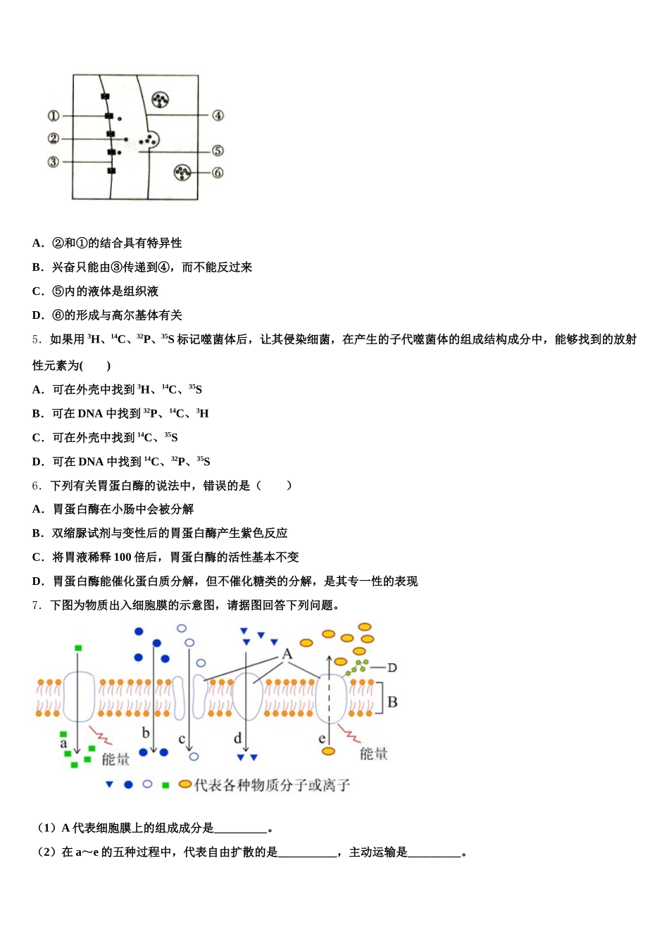 2025届浙江省台州市第一中学生物高一下期末经典试题含解析_第2页