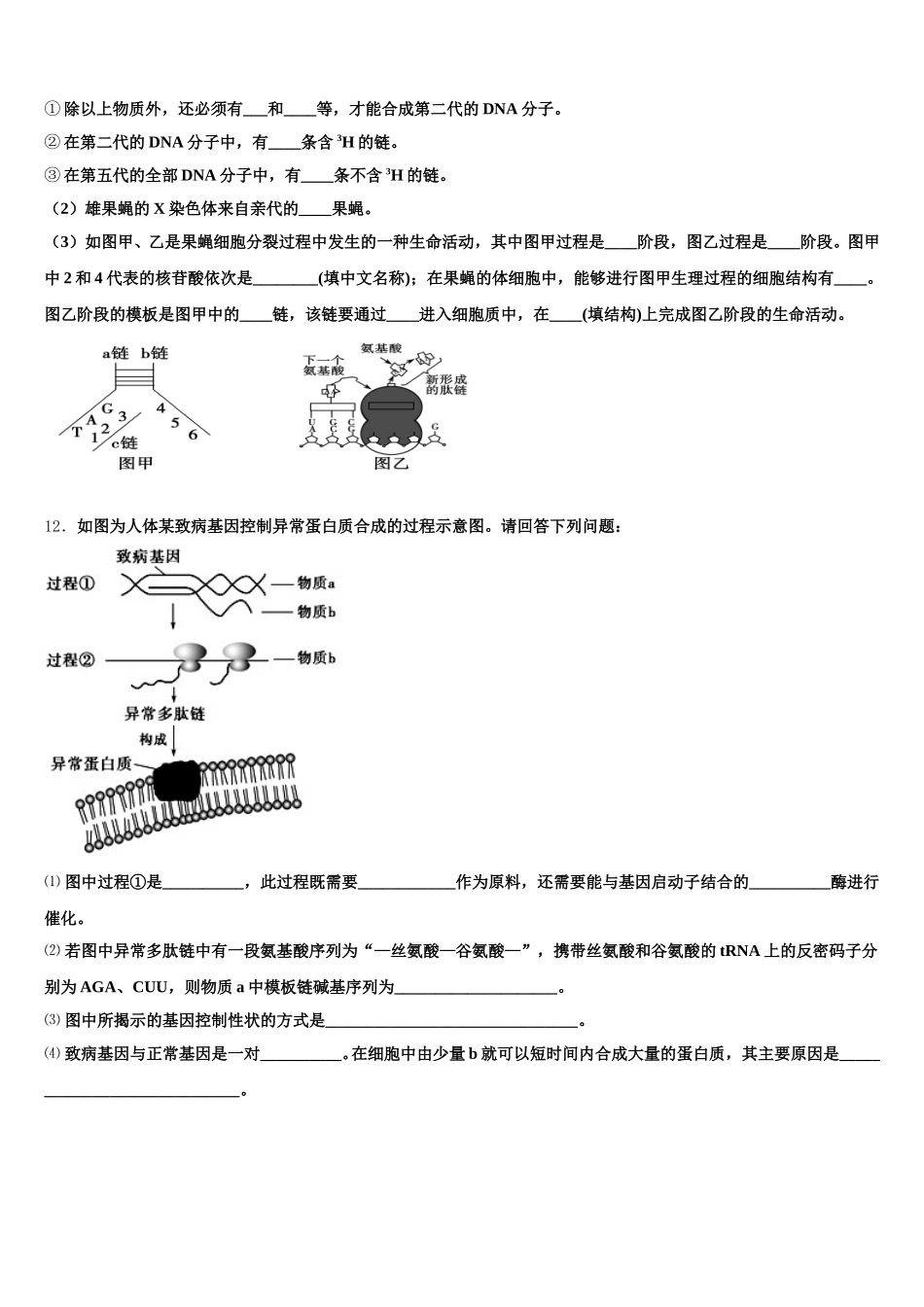 浙江省义乌市群星外国语学校2025届生物高一下期末质量跟踪监视模拟试题含解析_第3页