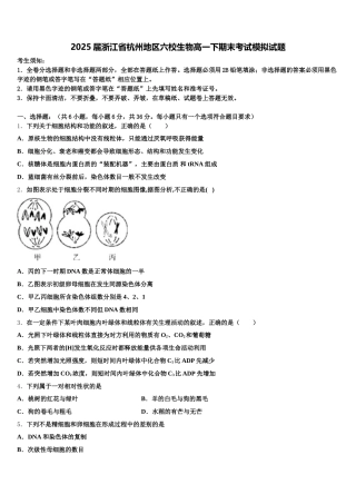 2025届浙江省杭州地区六校生物高一下期末考试模拟试题含解析