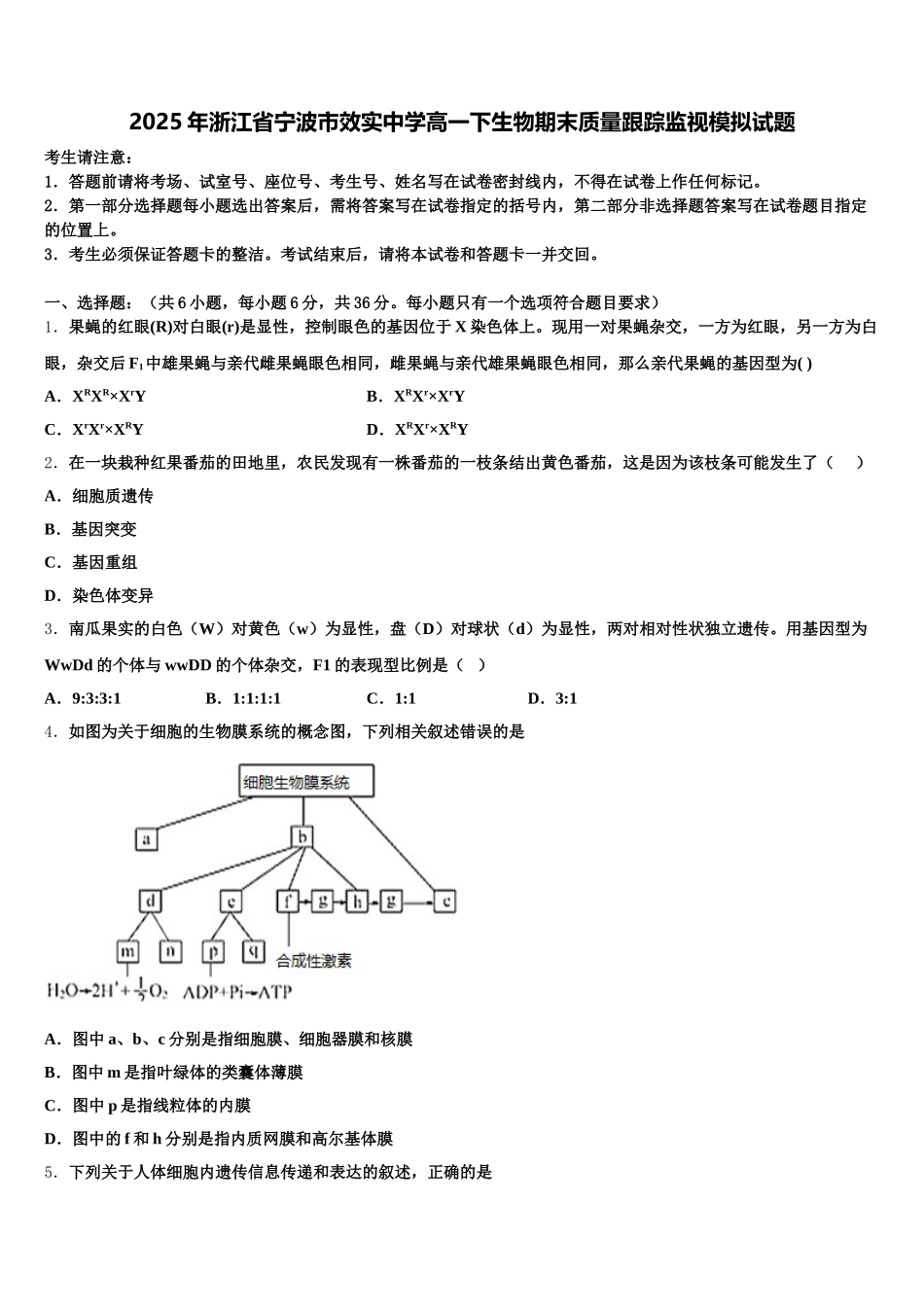 2025年浙江省宁波市效实中学高一下生物期末质量跟踪监视模拟试题含解析_第1页