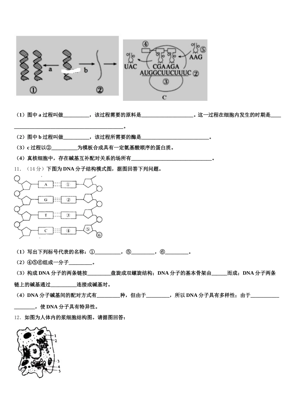 乐成公立寄宿学校2025届生物高一下期末学业质量监测模拟试题含解析_第3页