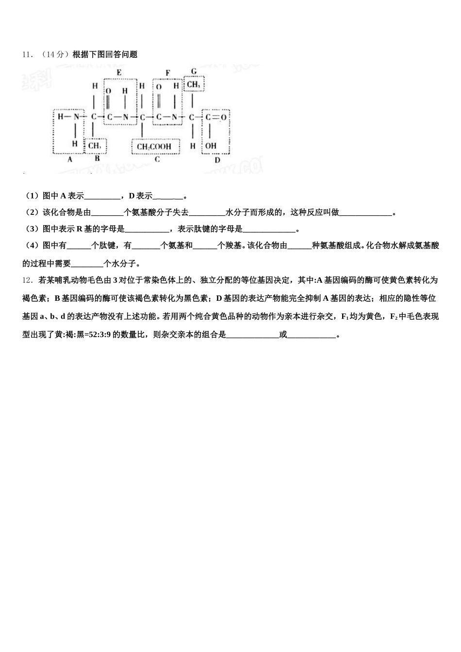 2025届浙江省温州市苍南县金乡卫城中学生物高一下期末综合测试模拟试题含解析_第3页