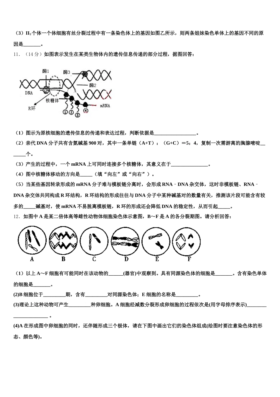 2025年浙江省杭师大附中生物高一下期末学业水平测试模拟试题含解析_第3页