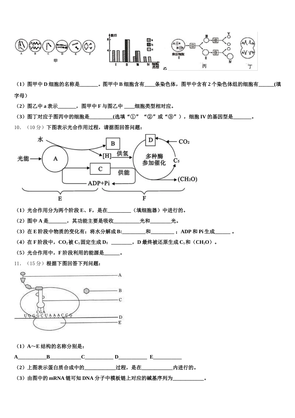 2025年浙江省宁波效实中学高一下生物期末考试试题含解析_第3页
