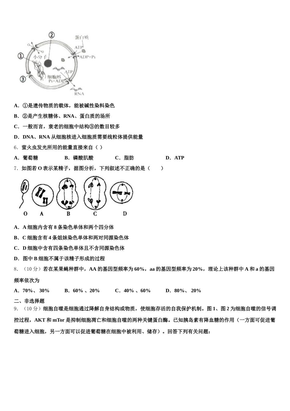 浙江省杭州市杭州市第四中学2025届高一生物第二学期期末综合测试试题含解析_第2页