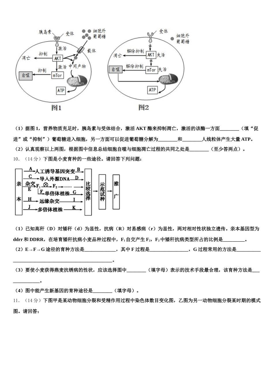 浙江省杭州市杭州市第四中学2025届高一生物第二学期期末综合测试试题含解析_第3页