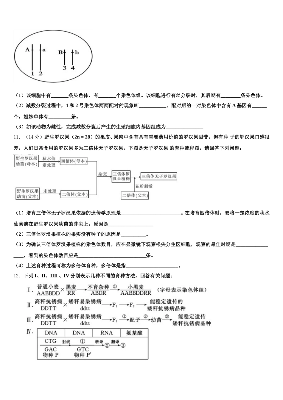浙江省诸暨市诸暨中学2025年高一生物第二学期期末达标检测模拟试题含解析_第3页