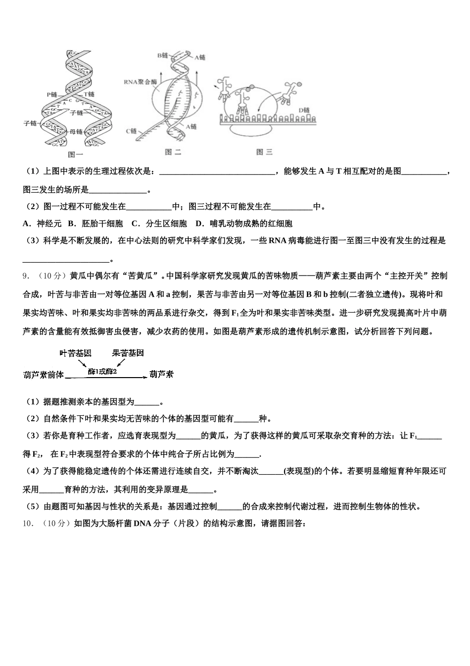 2024-2025学年浙江省杭州市杭州市第四中学高一生物第二学期期末联考模拟试题含解析_第3页