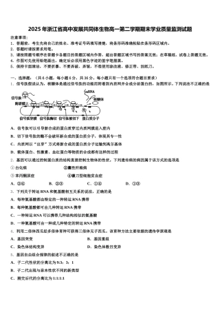 2025年浙江省高中发展共同体生物高一第二学期期末学业质量监测试题含解析
