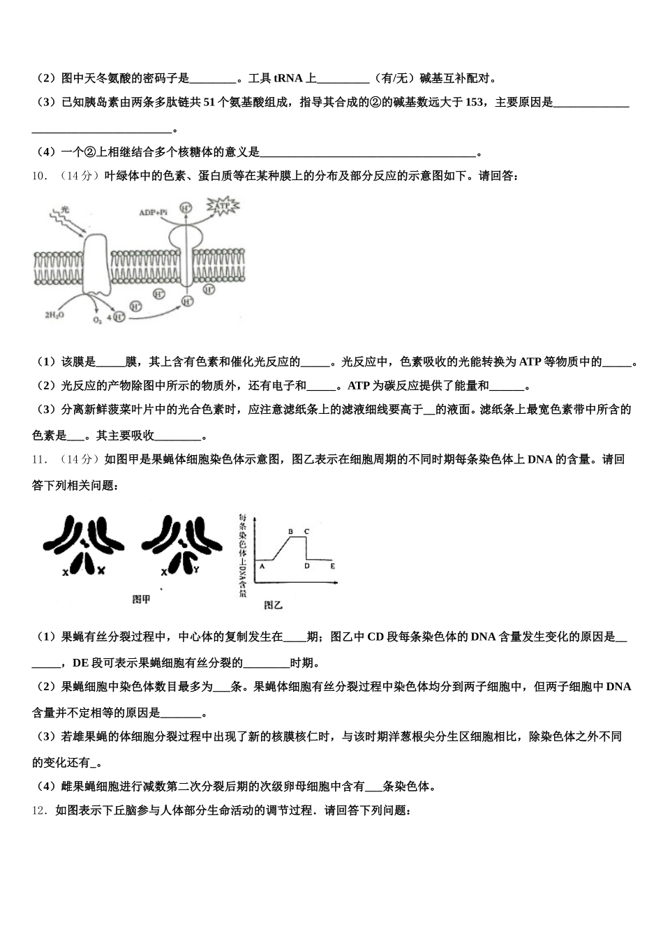 浙江省宁波诺丁汉大学附中2024-2025学年高一生物第二学期期末检测模拟试题含解析_第3页
