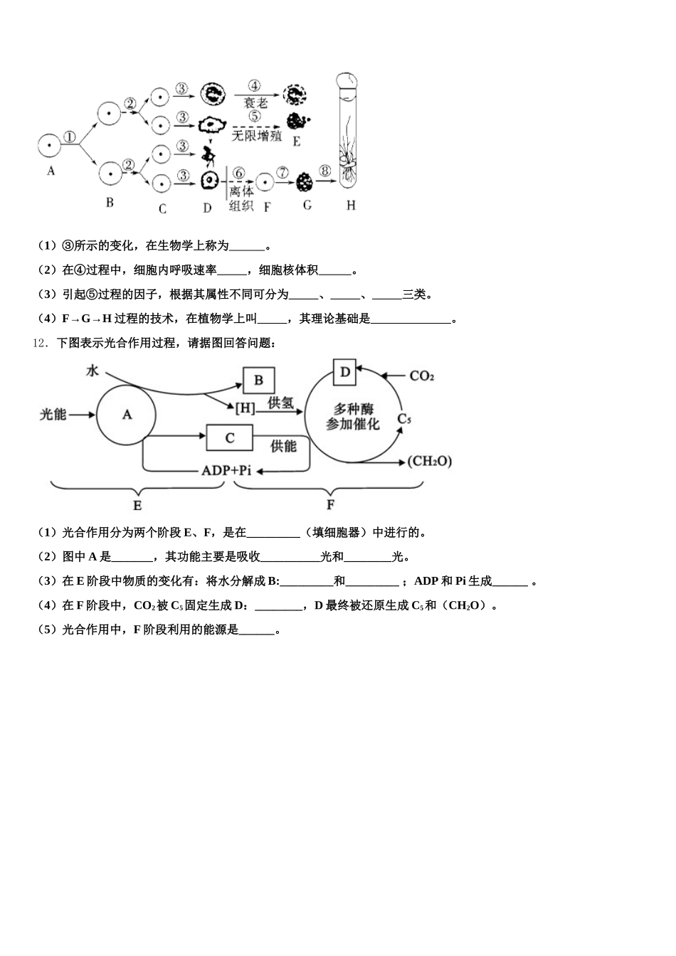 浙江省绍兴市2025年生物高一第二学期期末质量跟踪监视试题含解析_第3页