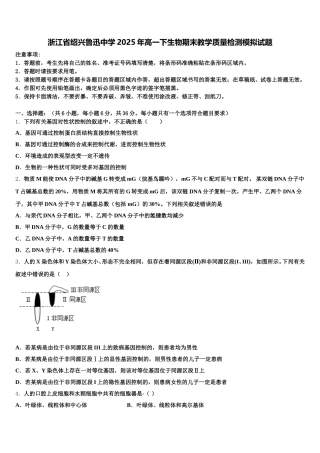浙江省绍兴鲁迅中学2025年高一下生物期末教学质量检测模拟试题含解析