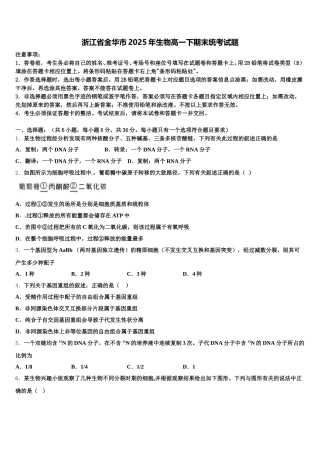 浙江省金华市2025年生物高一下期末统考试题含解析