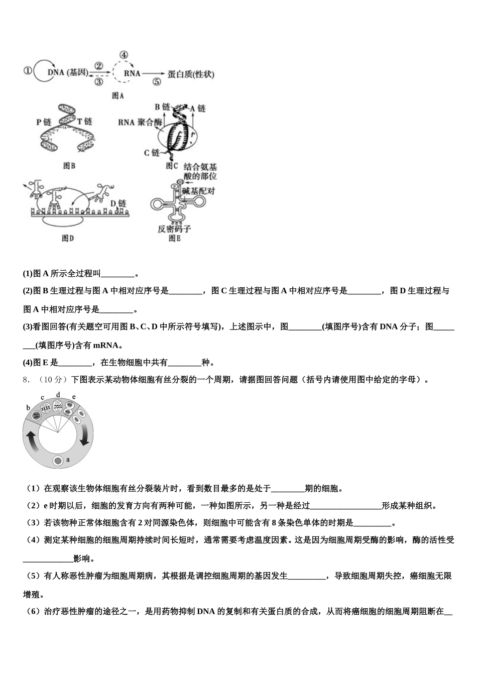 浙江省温州东瓯中学 2025年生物高一第二学期期末学业水平测试试题含解析_第2页