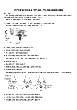浙江省宁波市东恩中学2025届高一下生物期末监测模拟试题含解析