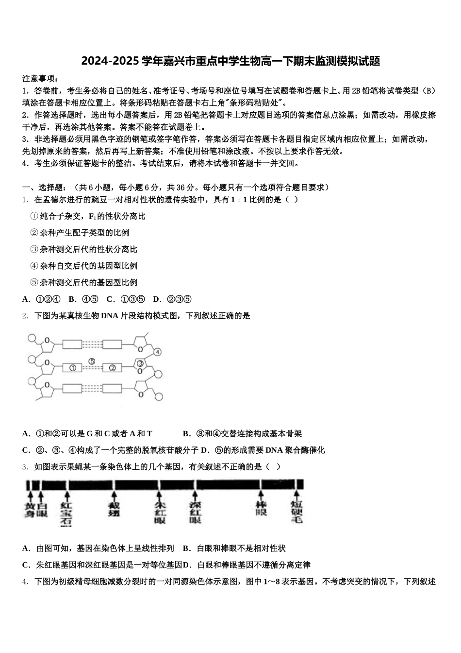 2024-2025学年嘉兴市重点中学生物高一下期末监测模拟试题含解析_第1页