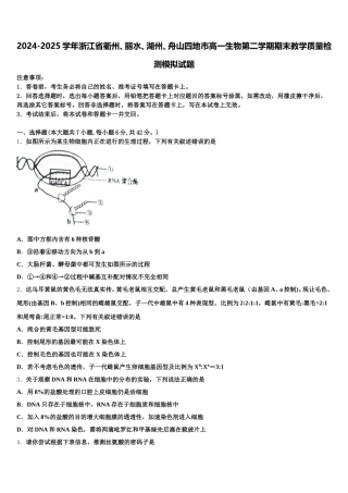 2024-2025学年浙江省衢州、丽水、湖州、舟山四地市高一生物第二学期期末教学质量检测模拟试题含解析