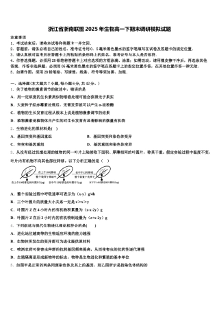 浙江省浙南联盟2025年生物高一下期末调研模拟试题含解析