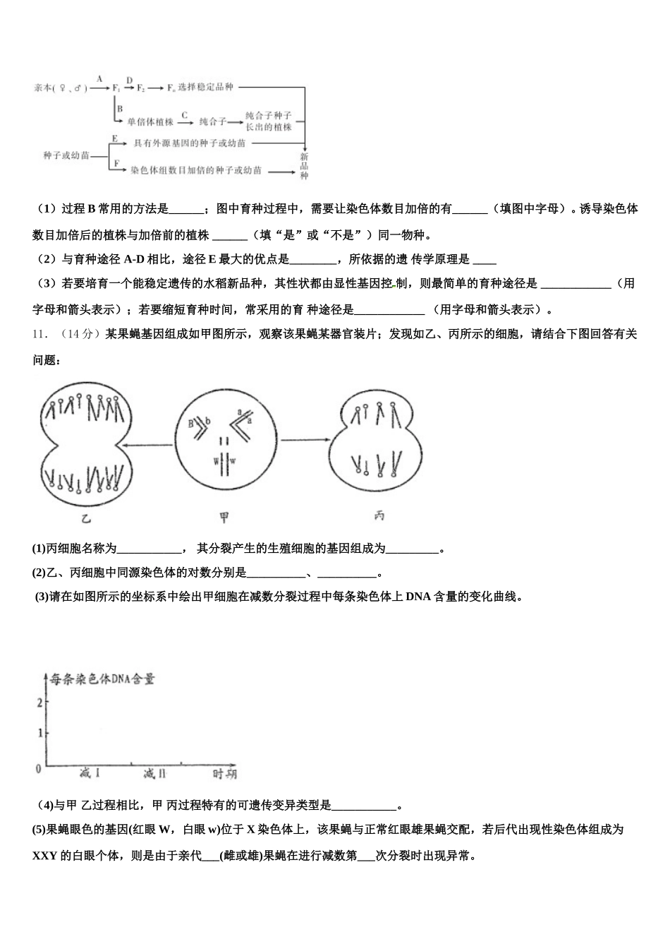 宁波市重点中学2024-2025学年高一下生物期末考试试题含解析_第3页