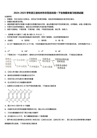 2024-2025学年浙江省杭州市示范名校高一下生物期末复习检测试题含解析