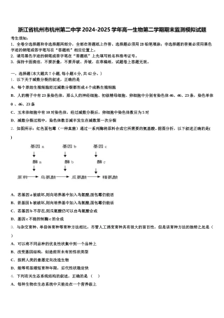 浙江省杭州市杭州第二中学2024-2025学年高一生物第二学期期末监测模拟试题含解析