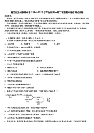 浙江省温州东瓯中学 2024-2025学年生物高一第二学期期末达标测试试题含解析