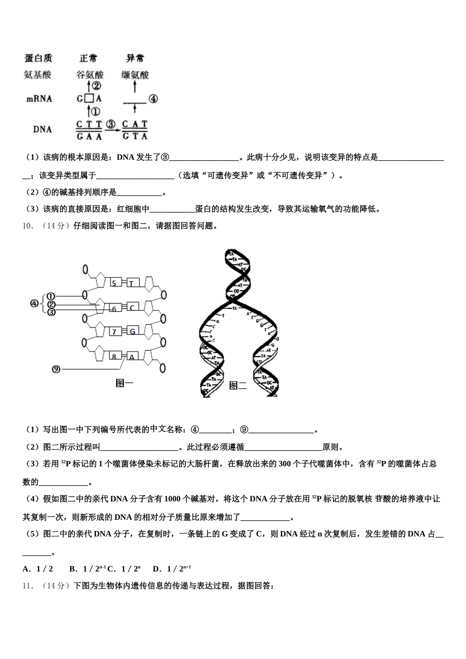 浙江省宁波市东恩中学2024-2025学年生物高一第二学期期末联考模拟试题含解析_第3页