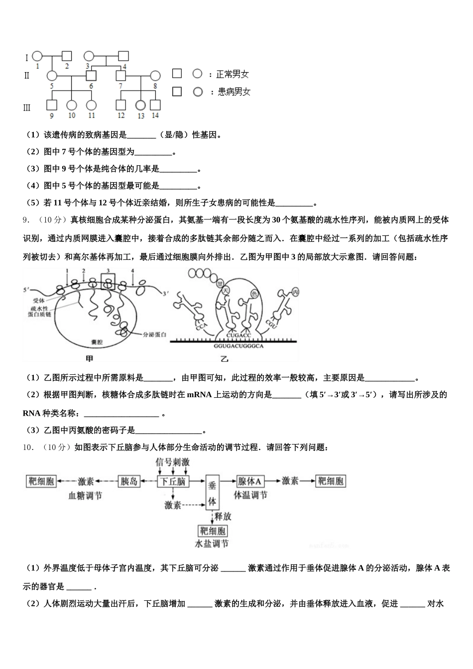 2025年浙江省诸暨市暨阳初中生物高一下期末质量检测模拟试题含解析_第3页
