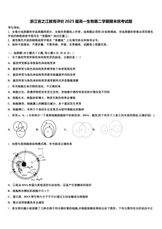 浙江省之江教育评价2025届高一生物第二学期期末统考试题含解析