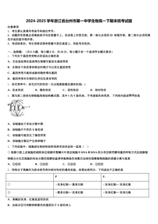 2024-2025学年浙江省台州市第一中学生物高一下期末统考试题含解析