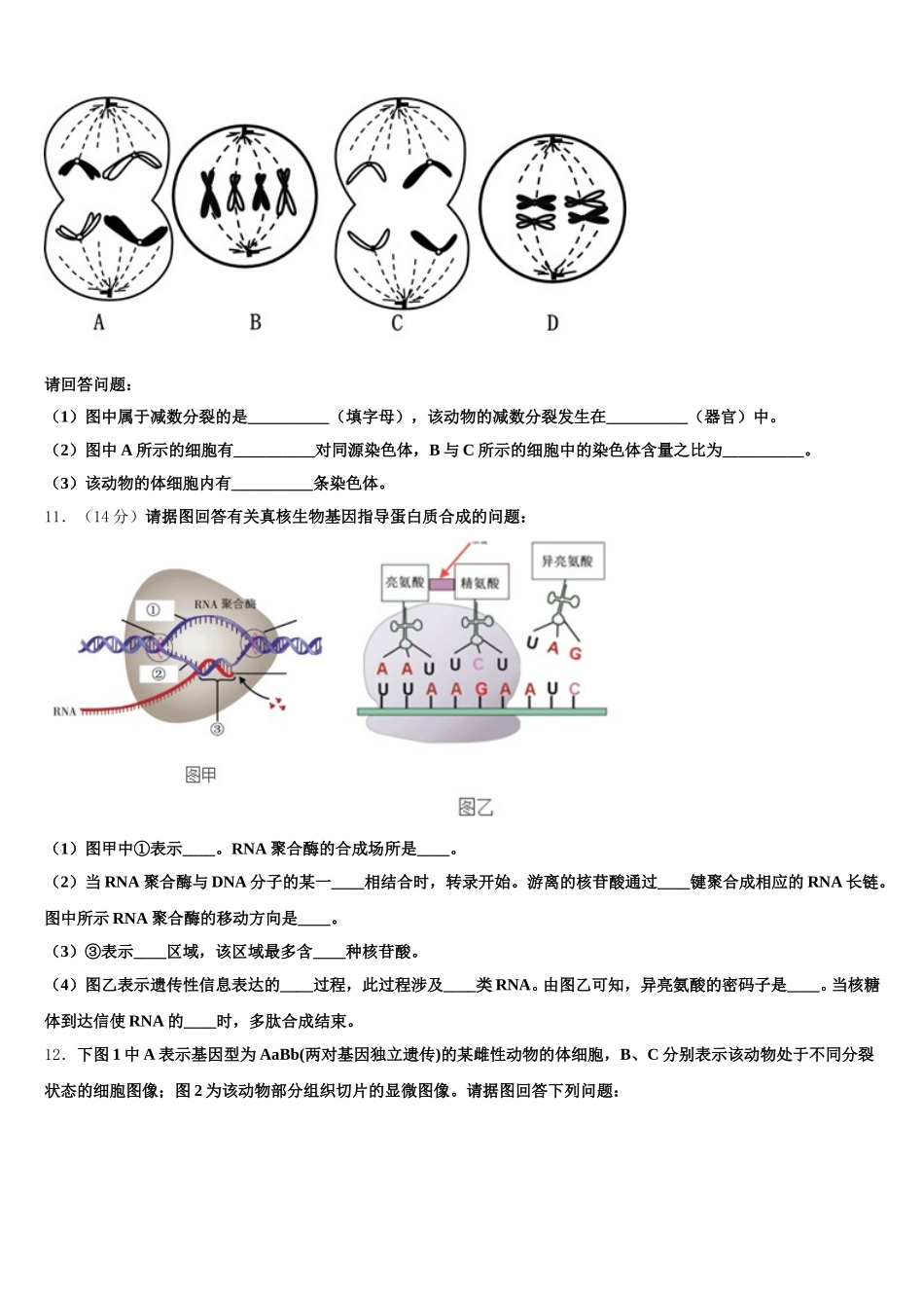 浙江绍兴一中2025年生物高一第二学期期末统考试题含解析_第3页