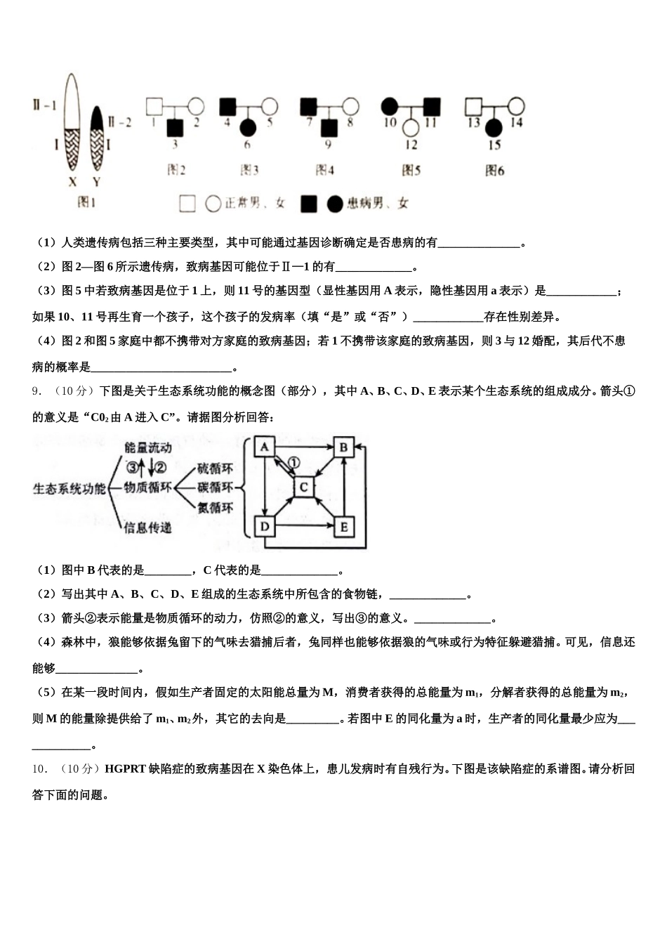2025年浙江省临海市白云高级中学生物高一下期末调研试题含解析_第3页