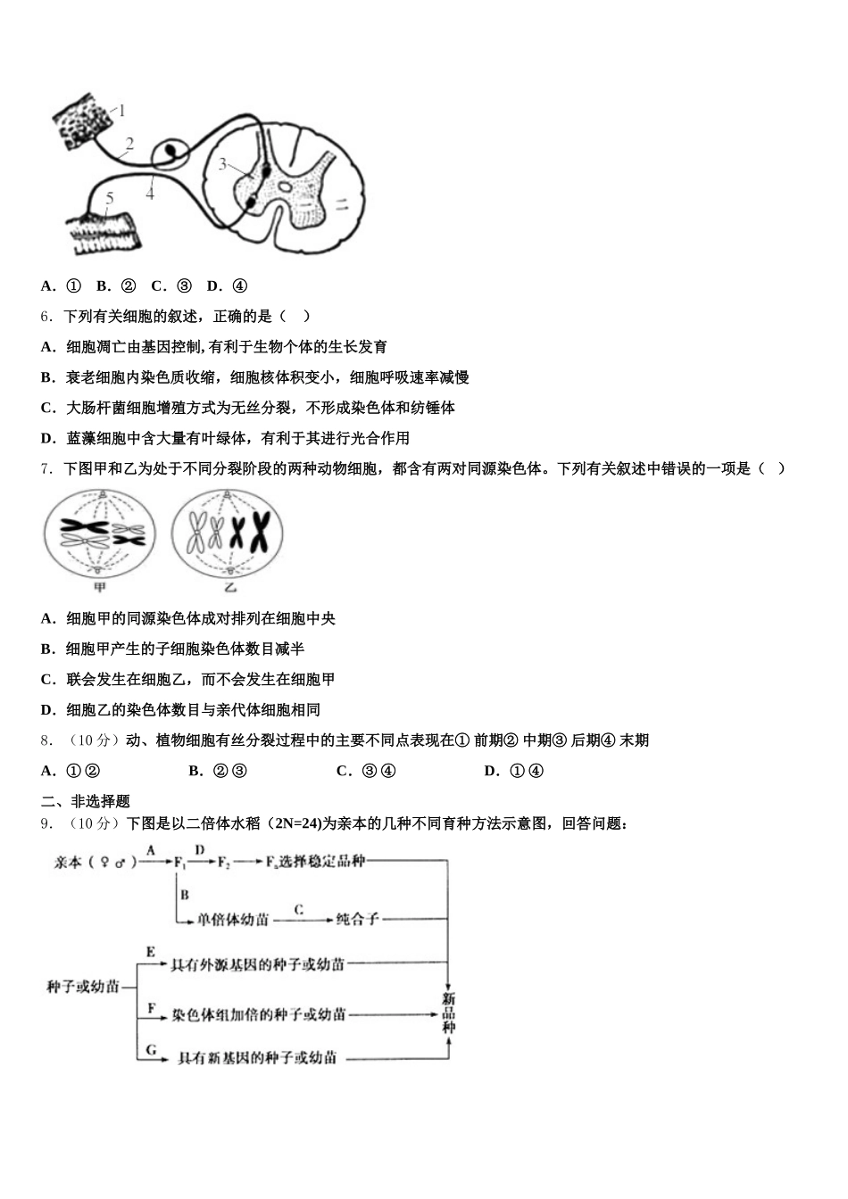 浙江省杭州第四中学2025年高一下生物期末调研模拟试题含解析_第2页