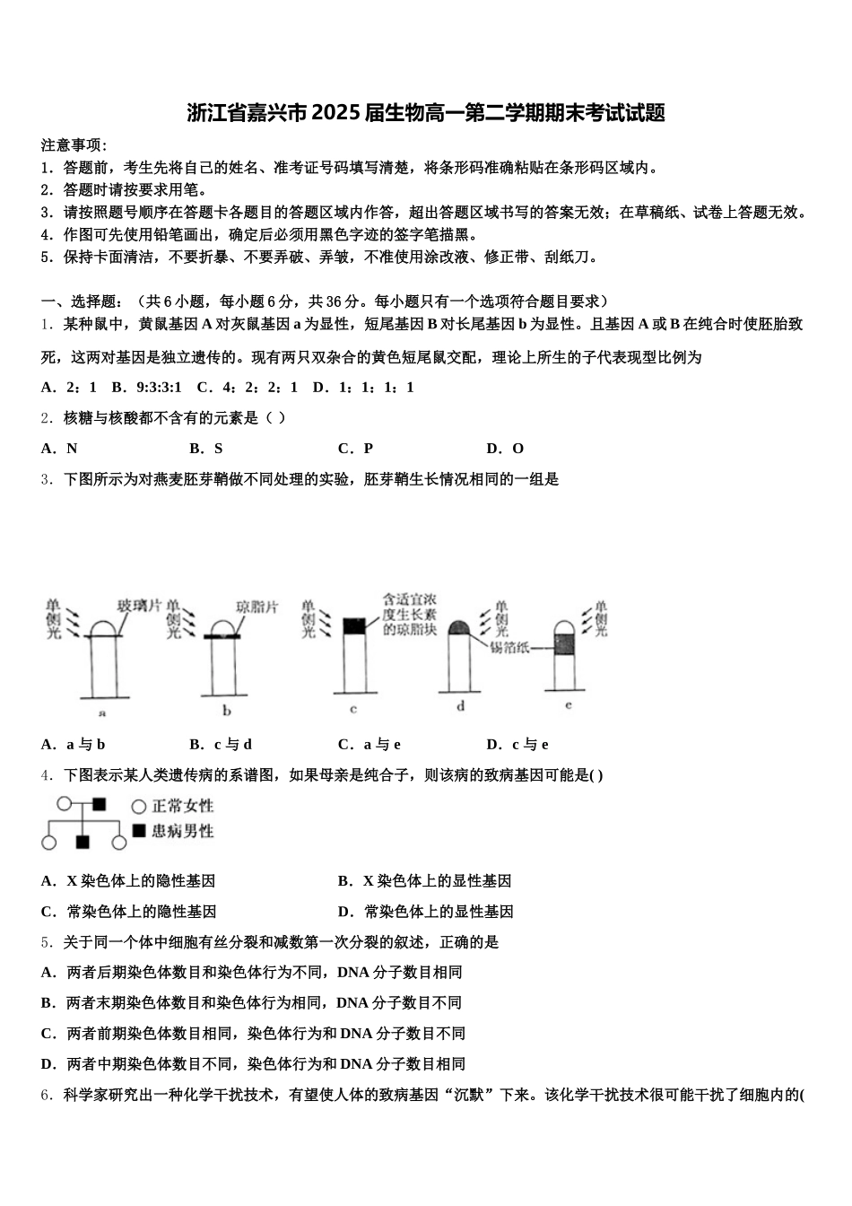 浙江省嘉兴市2025届生物高一第二学期期末考试试题含解析_第1页