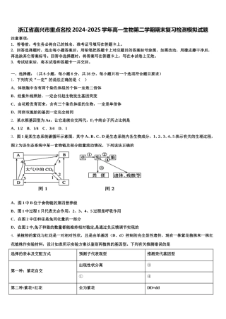 浙江省嘉兴市重点名校2024-2025学年高一生物第二学期期末复习检测模拟试题含解析